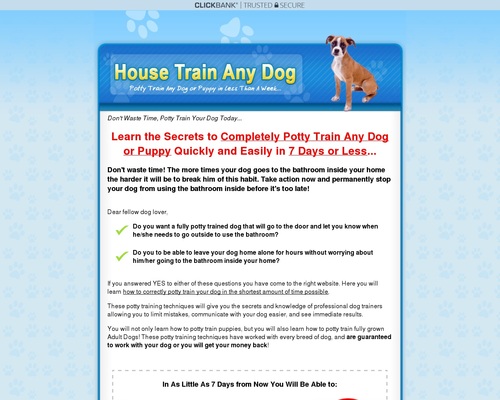 How to Housetrain Any Dog – Health & Fitness